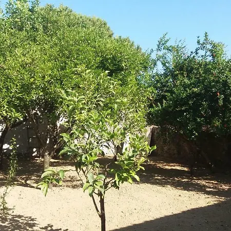 Hétvégi ház Beloussi Zakynthos Kipszéli